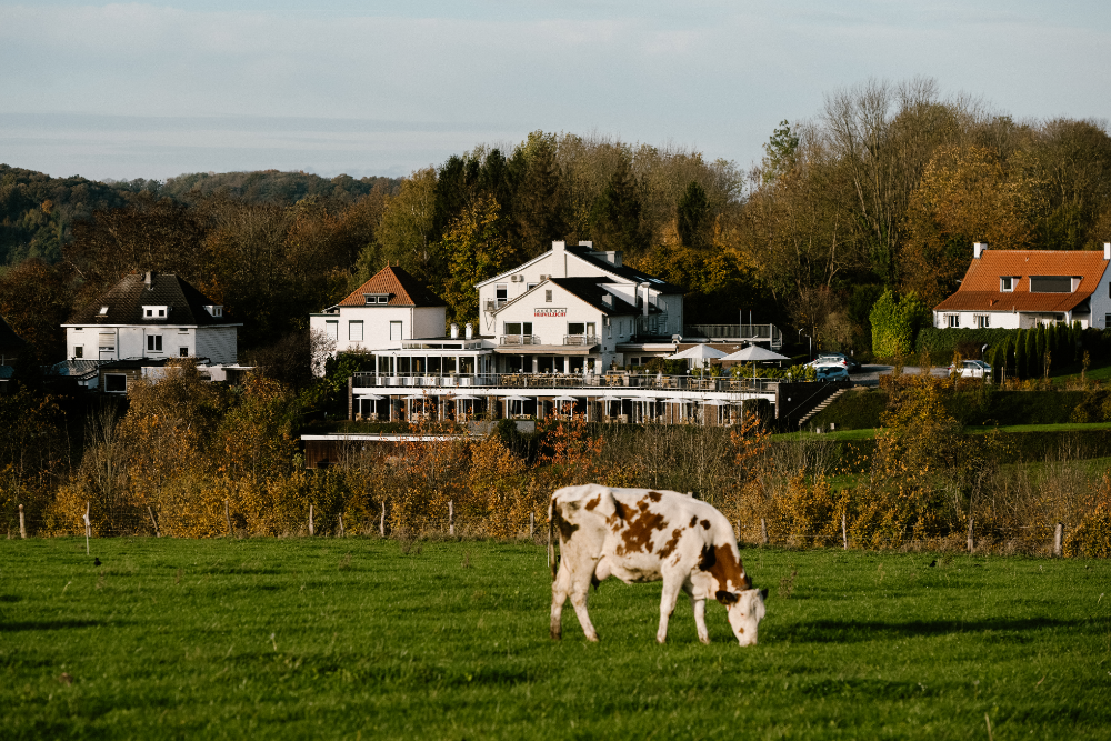 landhotel-heuvelzicht-fietsvakantie-zuid-limburg